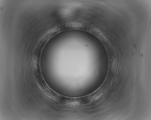 X0000086340643200703301256