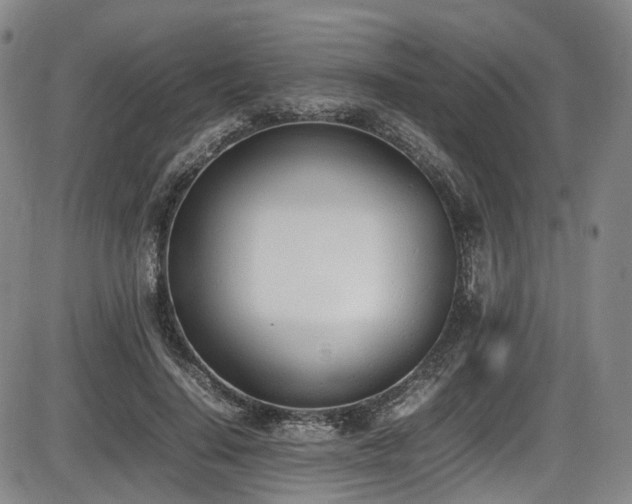 X0000086340644200703301256