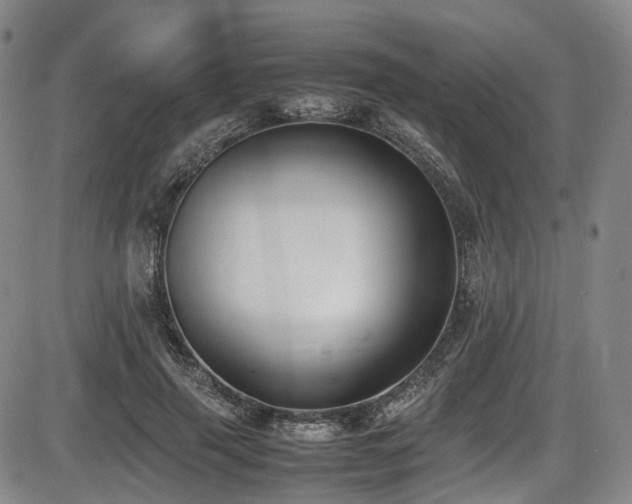 X0000086340645200703301257
