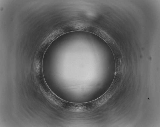 X0000086340646200703301257