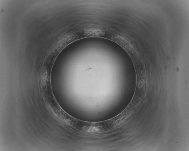 X0000086340647200703301257
