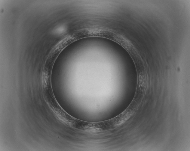 X0000086340648200703301257