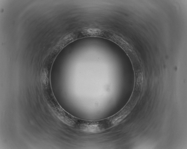 X0000086340651200703301257