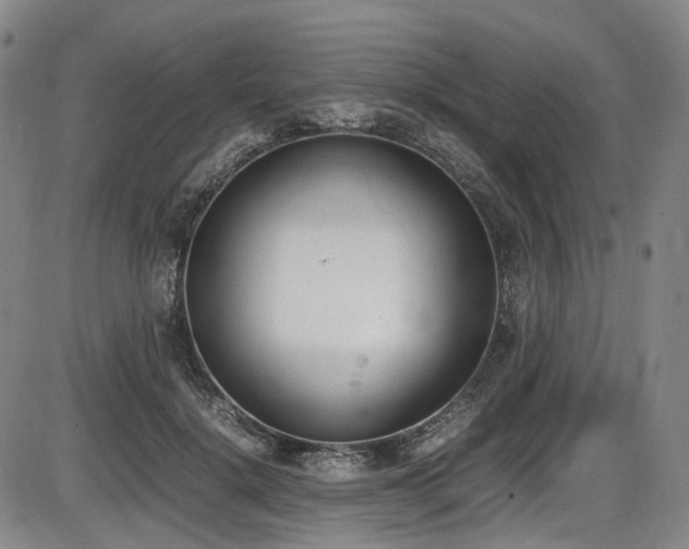 X0000086340652200703301257