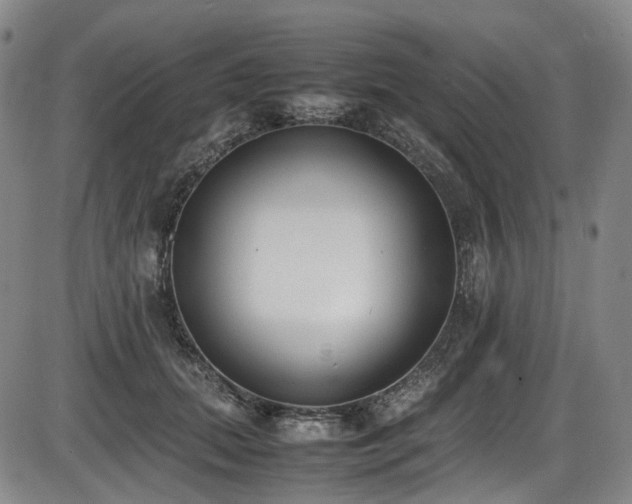 X0000086340655200703301257