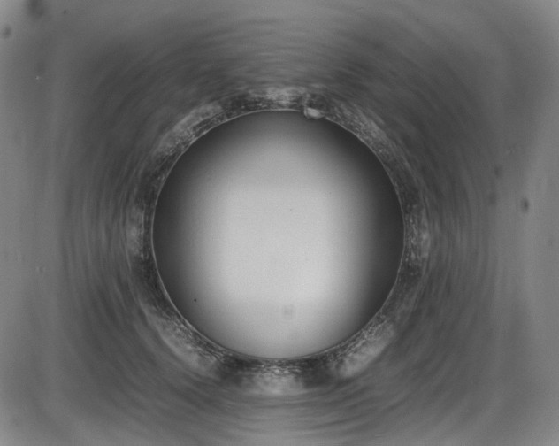X0000086340656200703301257