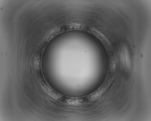 X0000086340661200703301257