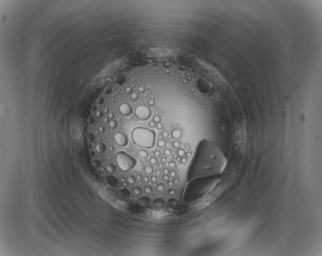 X0000086340662200703301257