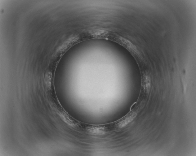 X0000086340664200703301257