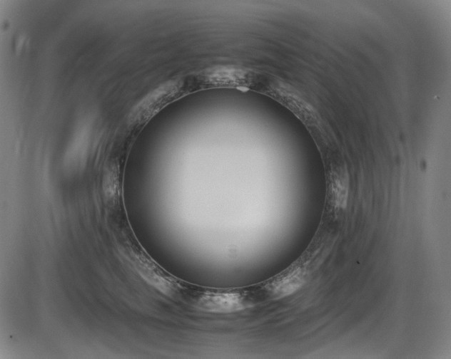 X0000086340665200703301257