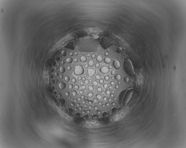 X0000086340666200703301257