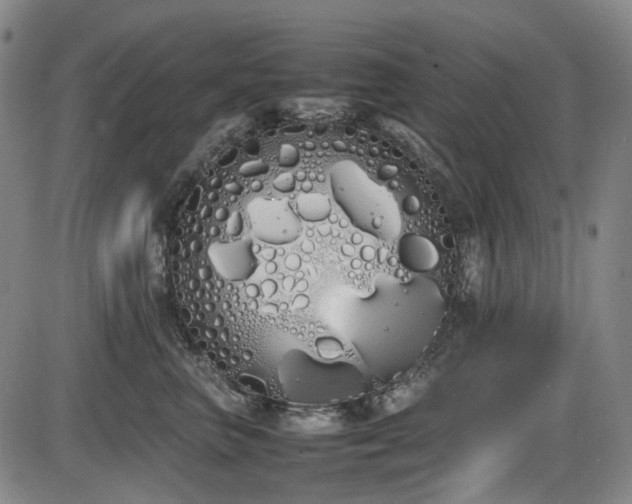 X0000086340667200703301257