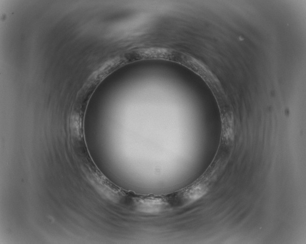 X0000086340669200703301257