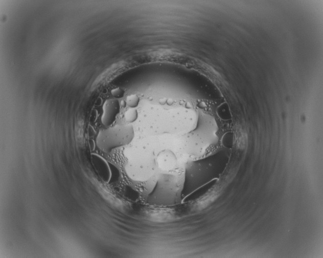 X0000086340670200703301257