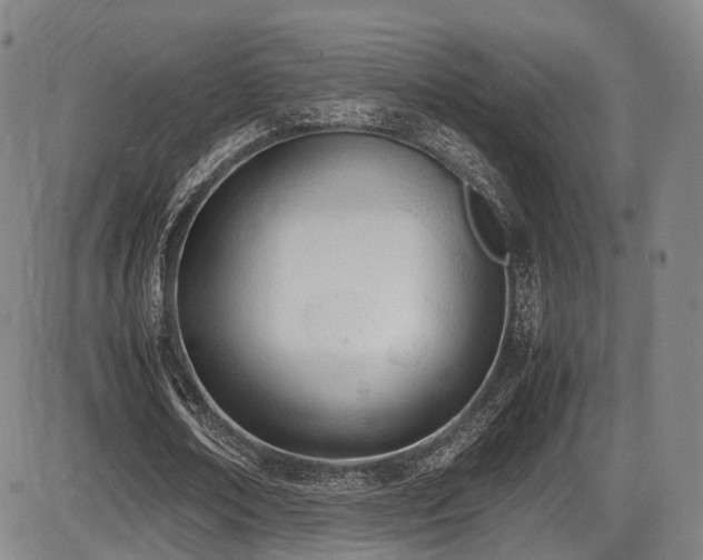 X0000086340674200703301256