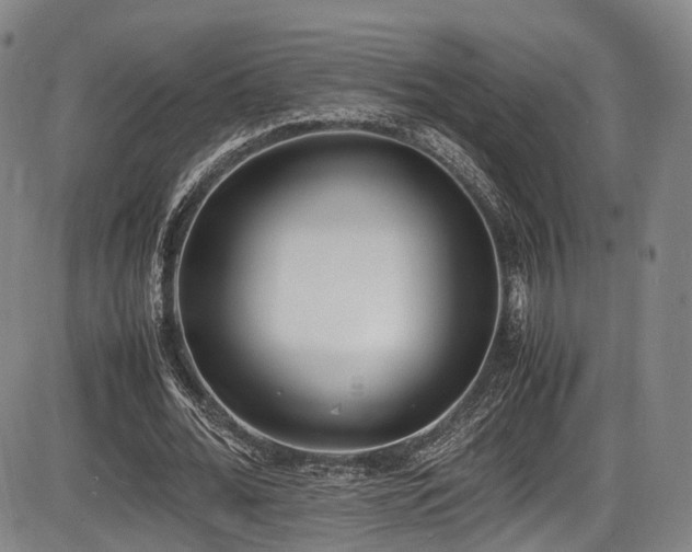 X0000086340676200703301256