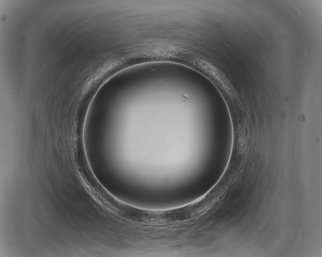 X0000086340677200703301256