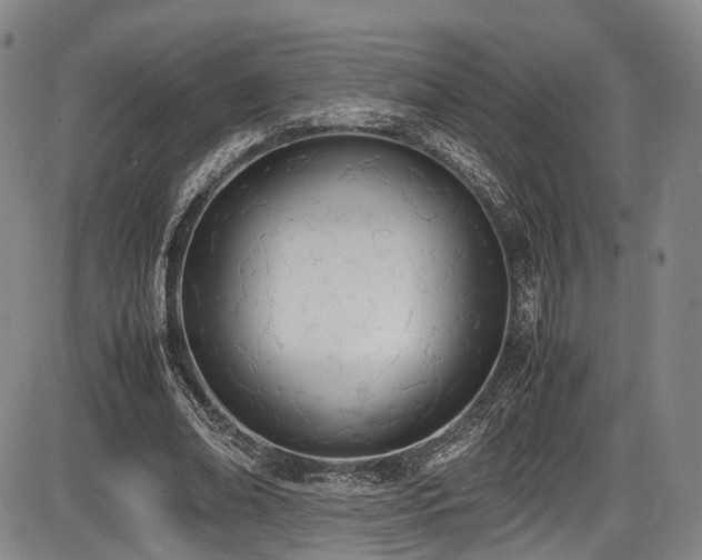 X0000086340678200703301256
