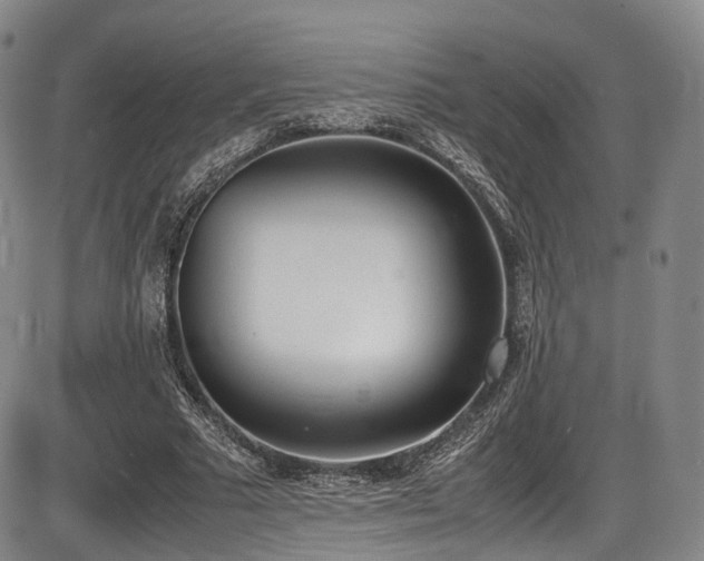 X0000086340681200703301256