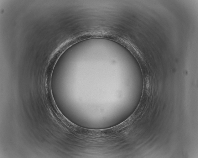 X0000086340684200703301256
