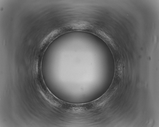 X0000086340686200703301256