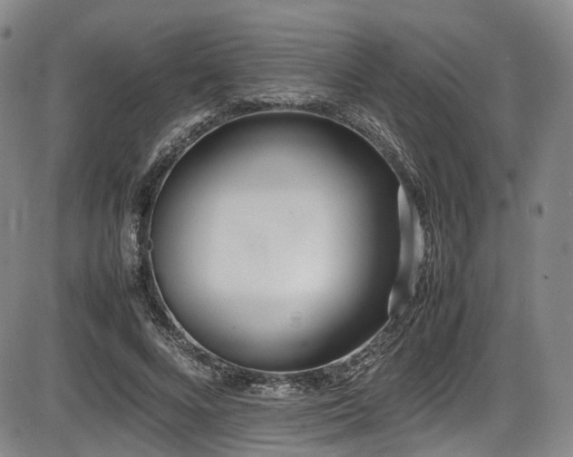 X0000086340688200703301256