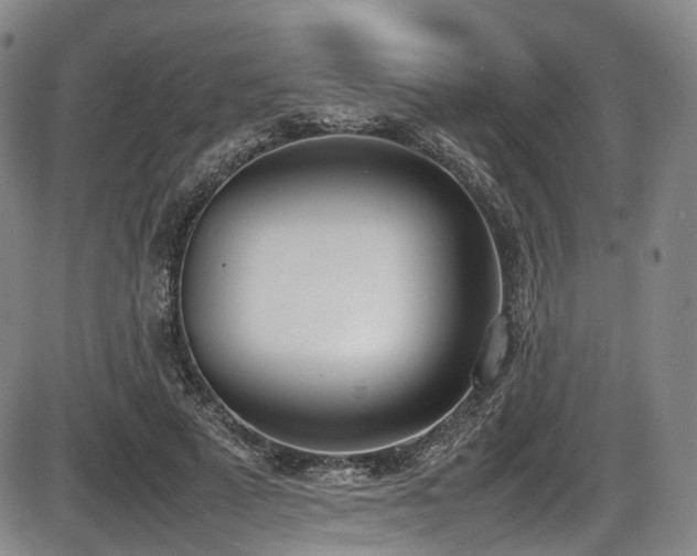 X0000086340689200703301256