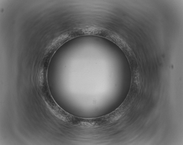 X0000086340690200703301256