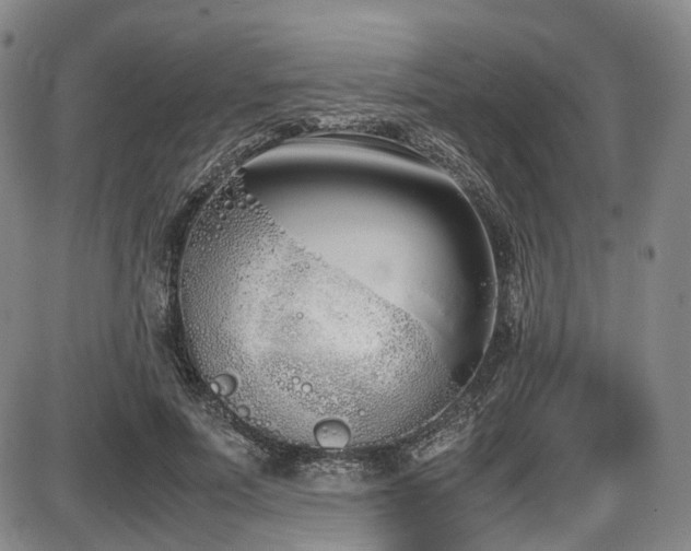 X0000086340691200703301256
