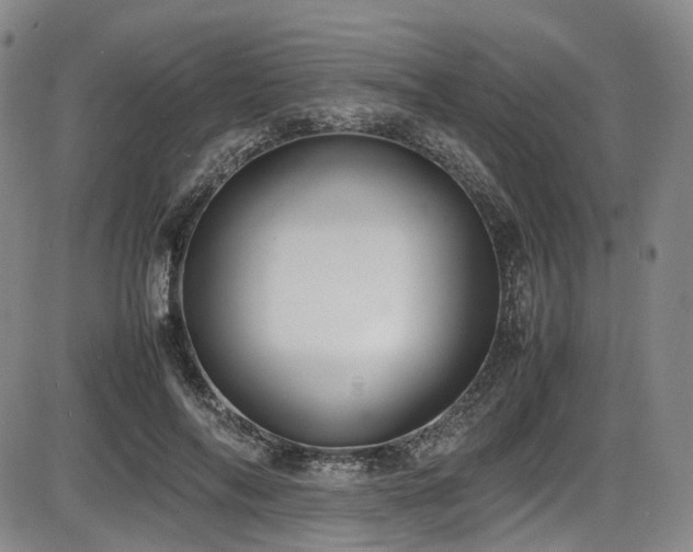 X0000086340694200703301256