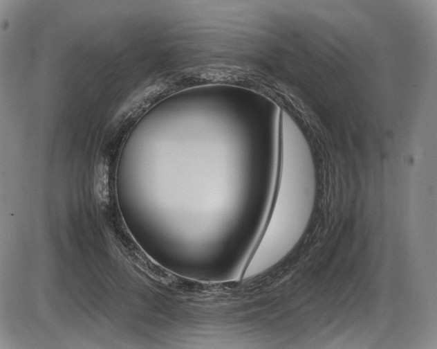 X0000086340696200703301256