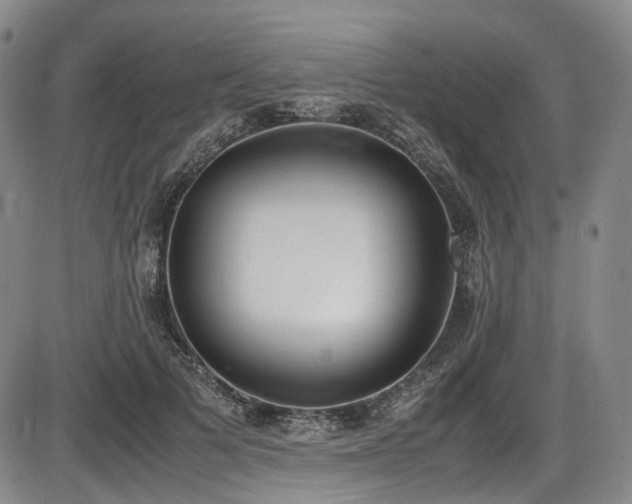 X0000086340697200703301256