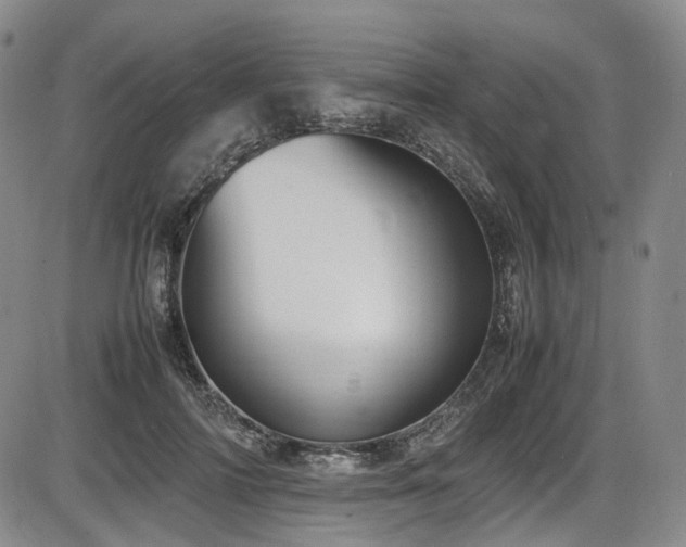 X0000086340698200703301256