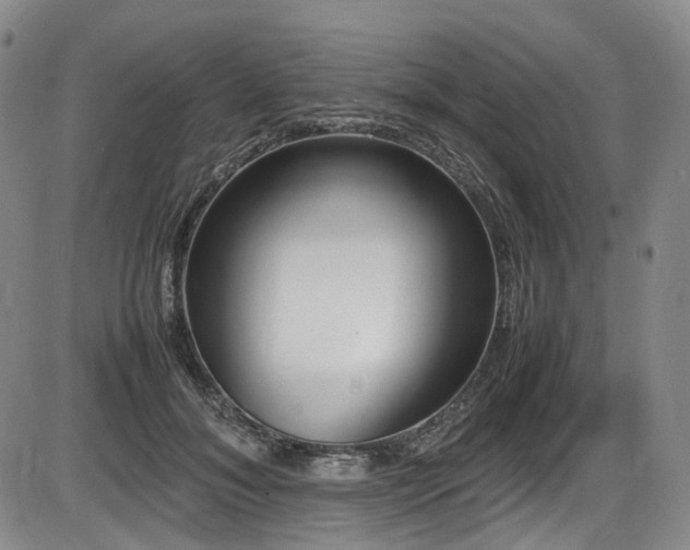 X0000086340700200703301256