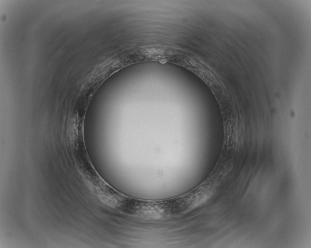 X0000086340702200703301256