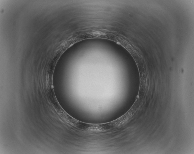 X0000086340704200703301256