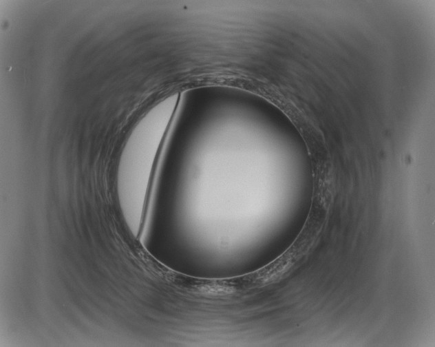 X0000086340708200703301256