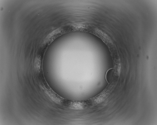 X0000086340710200703301256