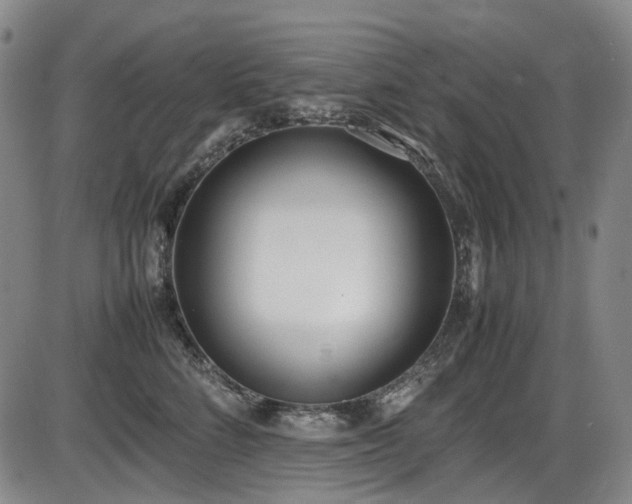 X0000086340712200703301256