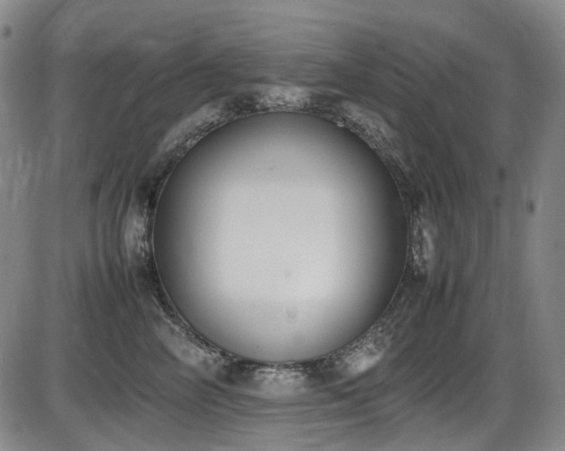 X0000086340714200703301255