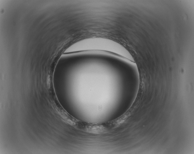 X0000086340716200703301255
