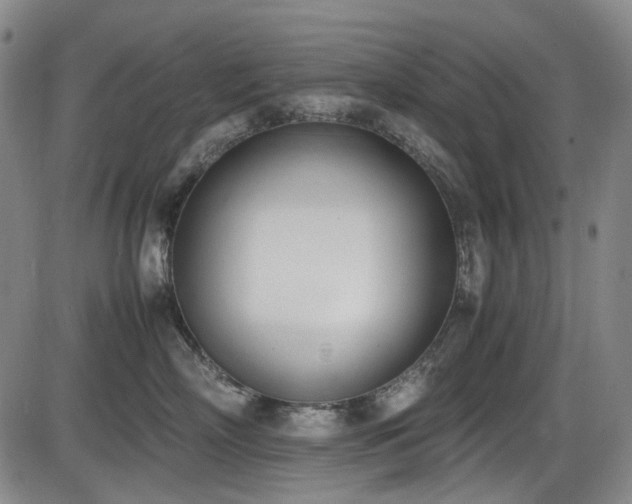 X0000086340718200703301255