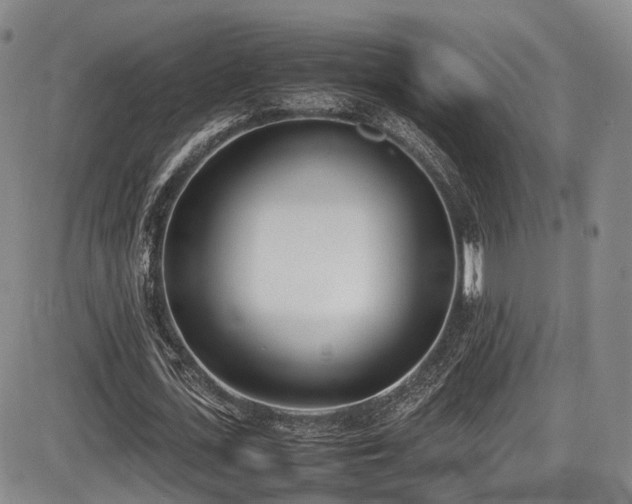 X0000086340723200703301255