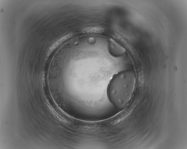 X0000086340725200703301255