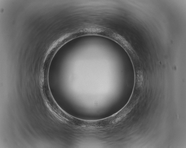 X0000086340726200703301255