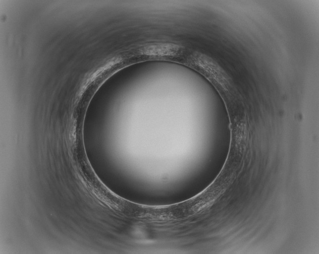 X0000086340727200703301255