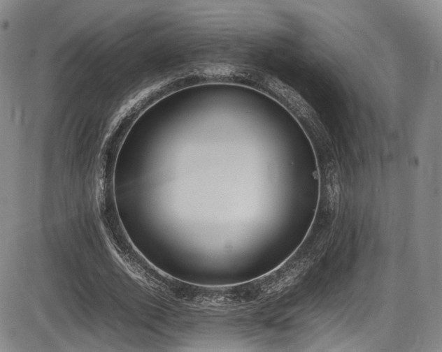X0000086340728200703301255