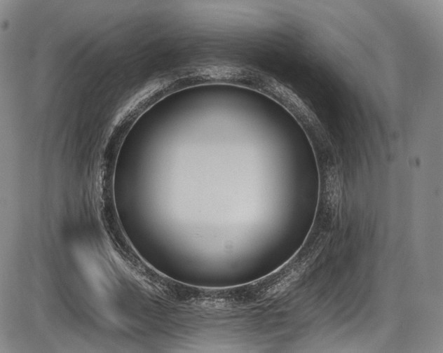 X0000086340730200703301255