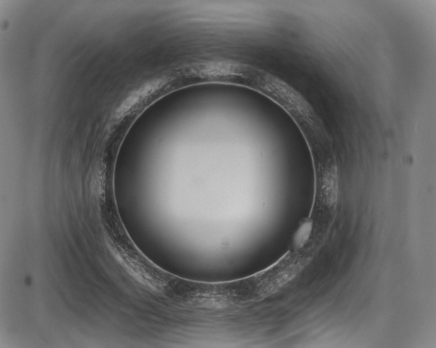 X0000086340732200703301255