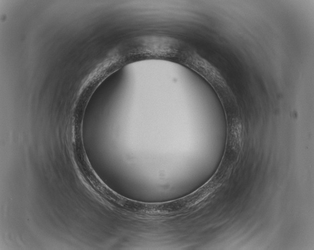 X0000086340734200703301255
